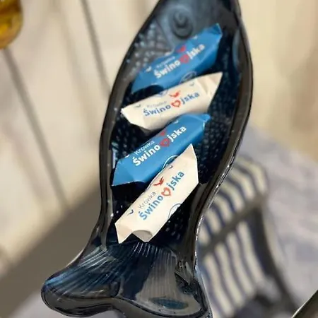 아파트 Golden Hour Apartments- Plac Slowianski 36 슈비노우이스쳬