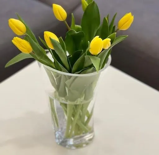 Golden Hour Apartments- Plac Slowianski 36